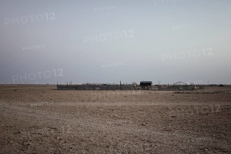 Camel farm Salalah, Dhofar, Oman, Asia