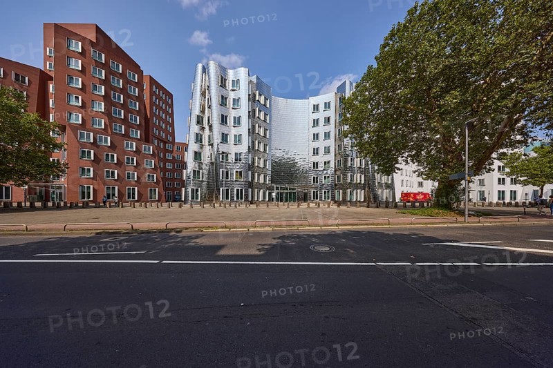 Gehry building by architect Frank O. Gehry with trees under a blue sky with small cumulus clouds on the street Neuer Zollhof in Düsseldorf, state capital, independent city, North Rhine-Westphalia, Germany, Europe