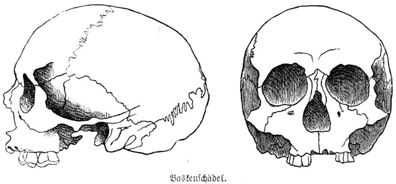 Skull of a Basque from the Iberian Peninsula, a half-length skull or mesocephal, front and side view, teeth, eye sockets, skullcap, anthropology, archaeology, history of mankind, Spain, historical illustration 1880, Europe
