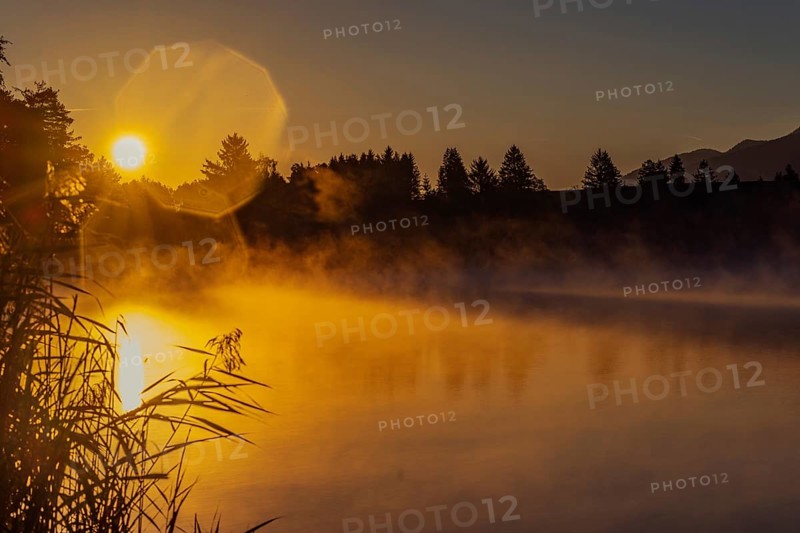 Autumnal morning atmosphere at Schmutter Weiher with fog near Lechbruck, Halblech and Roßhaupten in Allgäu, Bavaria, Germany, Europe