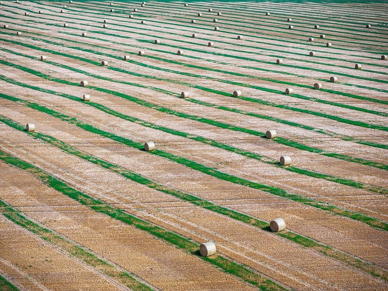 Straw bales on a harvested field, drone photo. Gotha, Thuringia, Germany, Europe