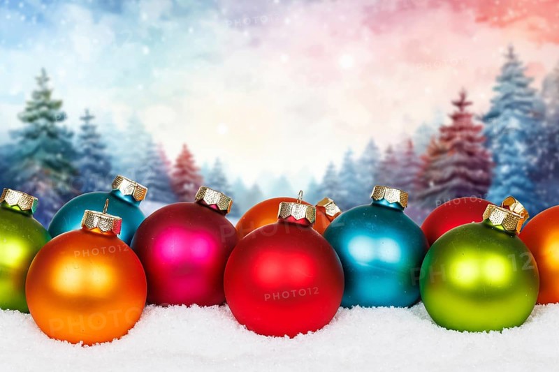 Christmas card for Christmas with forest in the background card and text free space copyspace decoration winter in Stuttgart, Germany, Europe