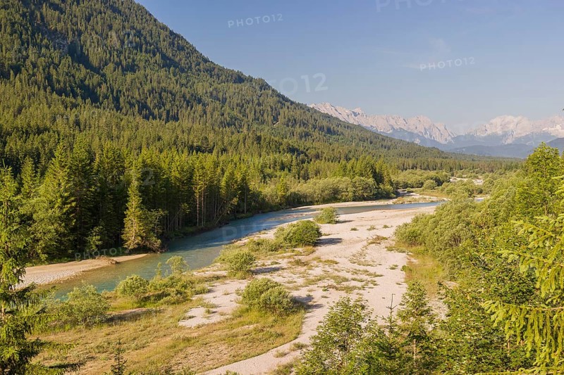Isar valley nature conservancy area. The wild Isar river flows through its gravel bed past driftwood and entrained trees and bushes . Early morning