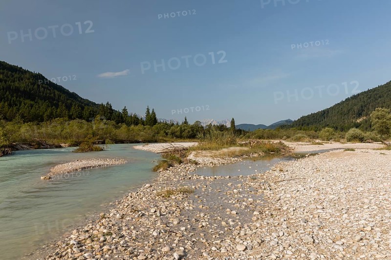 Isar valley nature conservancy area. The wild Isar river flows through its gravel bed past driftwood and entrained trees and bushes . Early morning