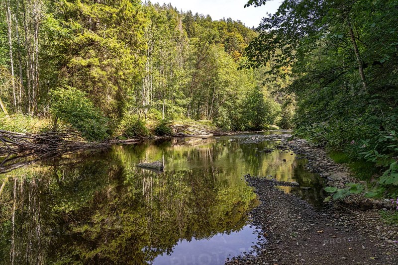 The River Wutach in the Wutach Gorge, Black Forest, Baden-Württemberg, Germany, Europe
