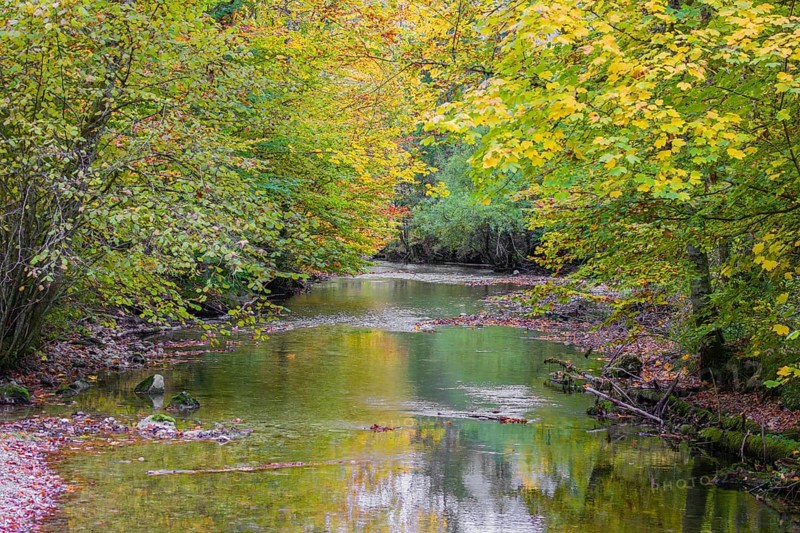 The Toplitz river begins at the western end of the Lake Toplitzsee as its only outflow. Its path leads through a wooded valley past the village of Gößl. After 1.6 kilometers, it flows into the Lake Grundlsee