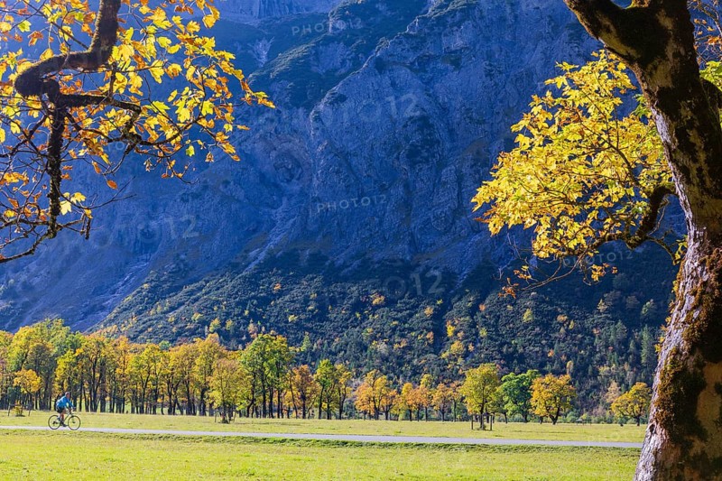 Bicycle. Nature conservancy area Grosser Ahornboden. Sycamore maple trees, Acer pseudoplatanus, in autumn. Karwendel mountains, Austria, Europe