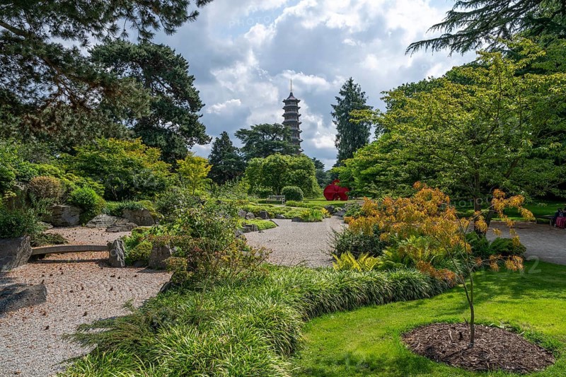 View of the Great Pagoda from a Japanese garden, Royal Botanic Gardens (Kew Gardens), UNESCO World Heritage Site, Kew, Greater London, England, United Kingdom, Europe