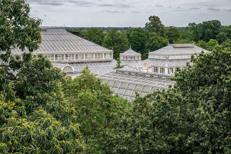 Treetops and Temperate House, largest Victorian glasshouse in the world, Royal Botanic Gardens (Kew Gardens), UNESCO World Heritage Site, Kew, Greater London, England, United Kingdom, Europe