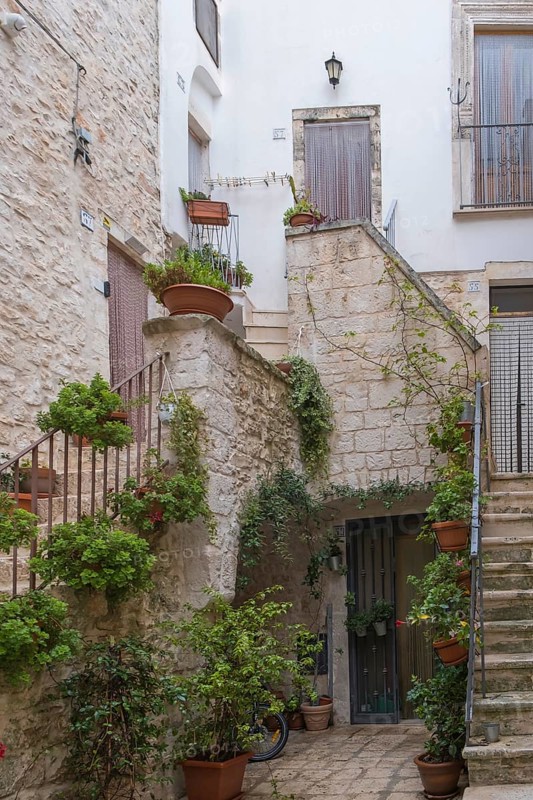 Idyllic alley with steps and lush plant decorations in terracotta pots, Cisternino, Apulia, Italy, Europe