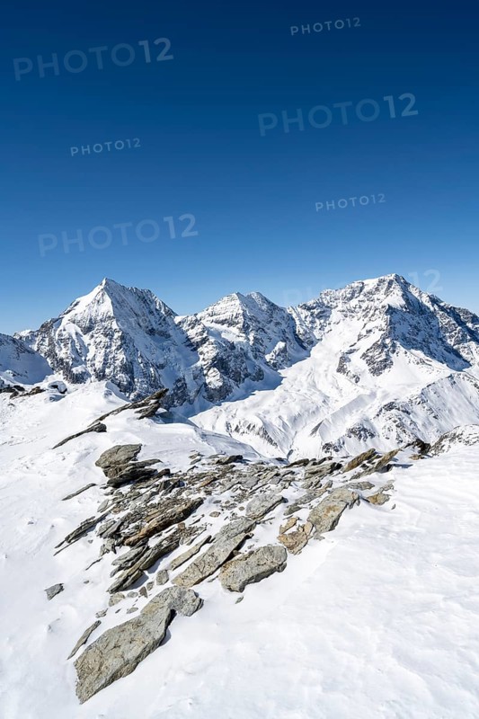 Mountain panorama with snow-covered mountain landscape in winter, view of mountain peaks Königsspitze, Monte Zebru and Ortler, summit of Madritschspitze, Ortler Alps, Vinschgau Valley, Italy, Europe