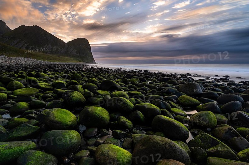 Moss-covered, round stones at Unstad Beach, Lofoten, Norway, Europe