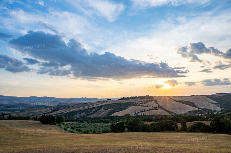 Typical Tuscan landscape in Val d'Orcia with hills, trees, fields, cypresses and farm road in autumn at sunset, La Foce, Tuscany, Italy, Europe