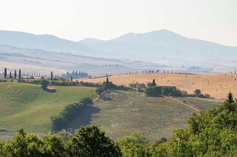 Typical Tuscan landscape in Val d'Orcia with hills, trees, fields, farmhouses and cypresses in summer, Tuscany, Italy, Europe