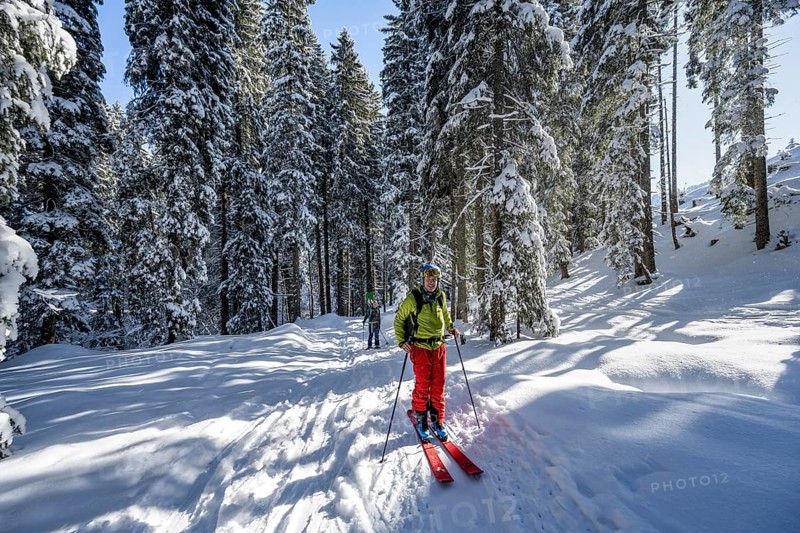 Ski tourers and snowshoe hikers in a snowy winter forest, ascent to the Teufelstättkopf, snow-covered mountain landscape, Ammergau Alps, Bavaria, Germany, Europe