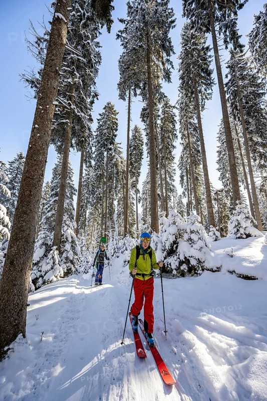 Ski tourers and snowshoe hikers in a snowy winter forest, ascent to the Teufelstättkopf, snow-covered mountain landscape, Ammergau Alps, Bavaria, Germany, Europe