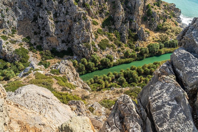 Phoenix theophrasti palms and the river Megalopotamos in the gorge of Preveli, Crete, Greece, Europe