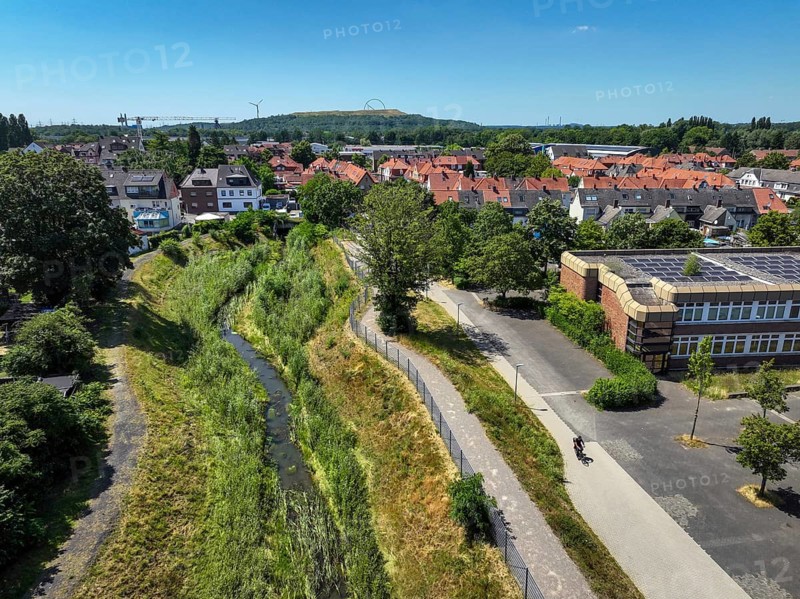 Recklinghausen, North Rhine-Westphalia, Germany, renaturalised Hellbach, renaturalised watercourse, the Hellbach is now free of wastewater after the construction of a parallel sewer, is part of the Emscher river system and thus part of the Emscher conversion, was previously an open, above-ground wastewater channel, mixed water channel with surface water and wastewater. The renaturalised Hellbach stream strengthens urban climate resilience, promotes biodiversity and helps to mitigate urban warming caused by climate change. Living by the water. In the background, the Hoheward spoil tip with horizon observatory in Herten. On the right, the Käthe Kollwitz comprehensive school, Europe