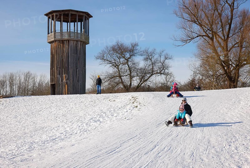 Recklinghausen, North Rhine-Westphalia, Germany - Sunny winter landscape in the Ruhr area, Emscher art in the snow, Kawamata Tower on the Emscher, WALKWAY AND TOWER, 2010, by Tadashi Kawamata, Families go sledging