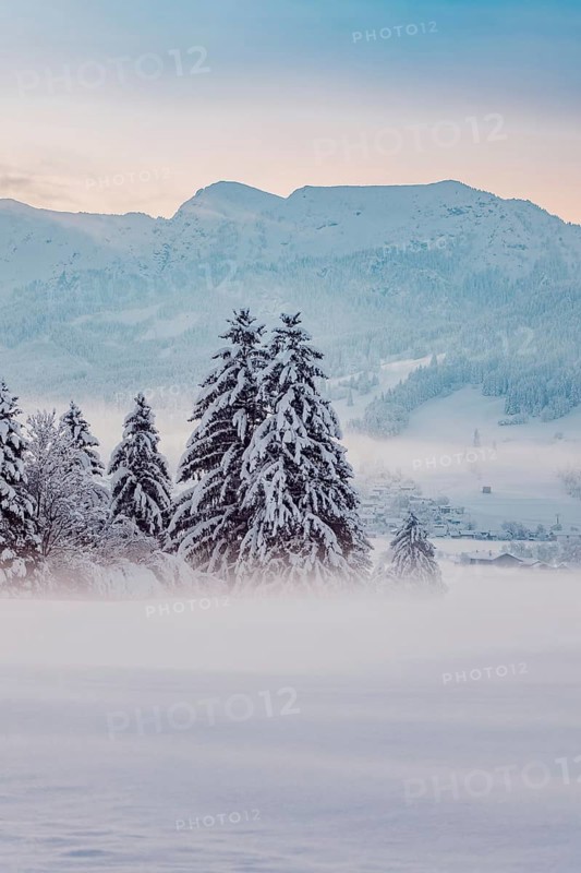 Deep snowy winter morning mood near Halblech in the foothills of the Alps in the Allgäu with the mountains in the background, Bavaria, Germany, Europe