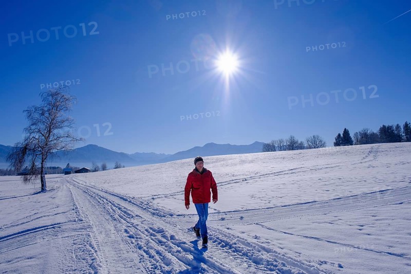 Hikers in winter near Sindelsdorf in the Benediktbeurer Moor, Tölzer Land, Upper Bavaria, Bavaria, Germany, Europe