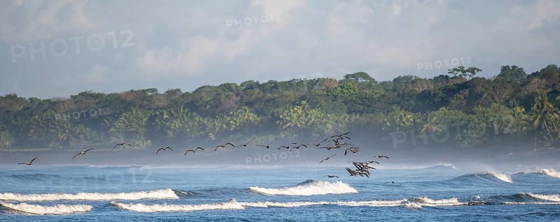 Coastal landscape, sea and sandy beach with rainforest, Corcovado National Park, Osa Peninsula, Puntarena Province, Costa Rica, Central America