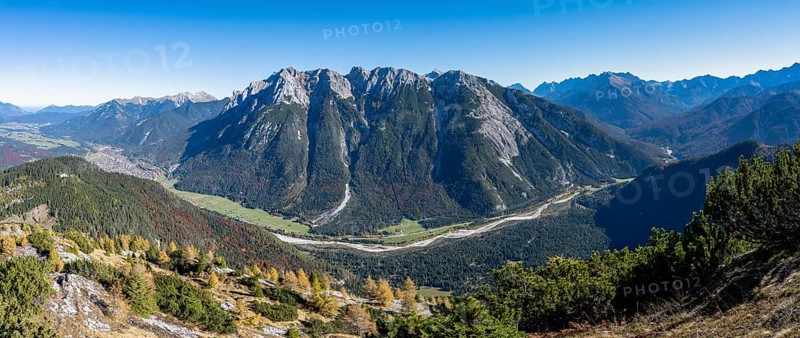 Autumnal mountain forest, yellow-coloured larches, ascent to the Große Arnspitze, view of mountain peaks of the Karwendel, near Scharnitz, Bavaria, Germany, Europe
