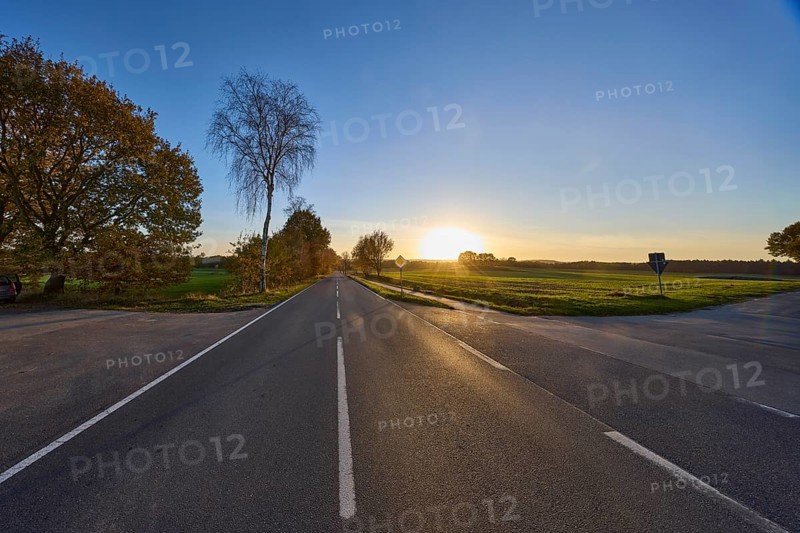 Country road, cycle path, trees, fields, backlight, sunset, intersection of country road L215 with Franz-Barca-Weg, Hanstedt in der Nordheide, Lüneburger Heide, district of Harburg, Lower Saxony, Germany, Europe