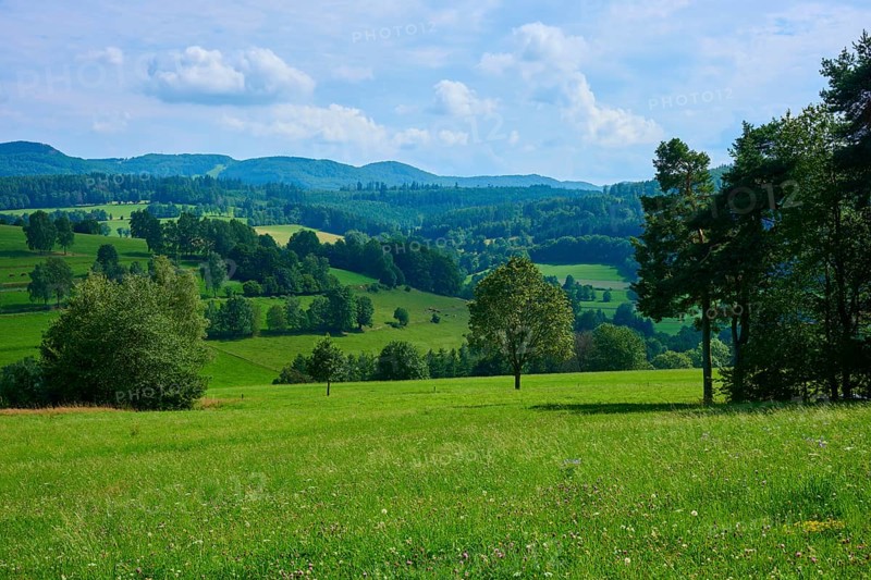 Green hilly landscape with trees and meadows under a partly cloudy sky, Gersfeld, Rhön, Hesse, Germany, Europe
