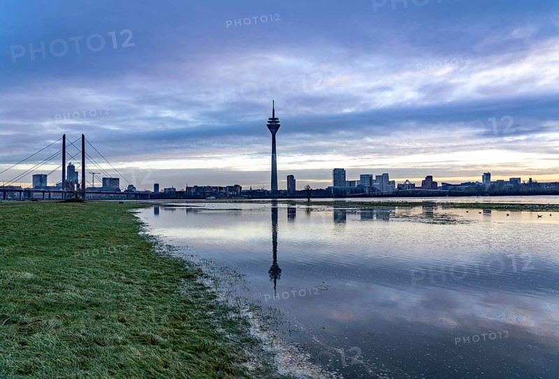 View of the Rhine knee bridge over the Rhine near Düsseldorf, Media Harbour, from the Rhine meadows in Düsseldorf-Oberkassel, Rhine Tower, North Rhine-Westphalia, Germany, Europe