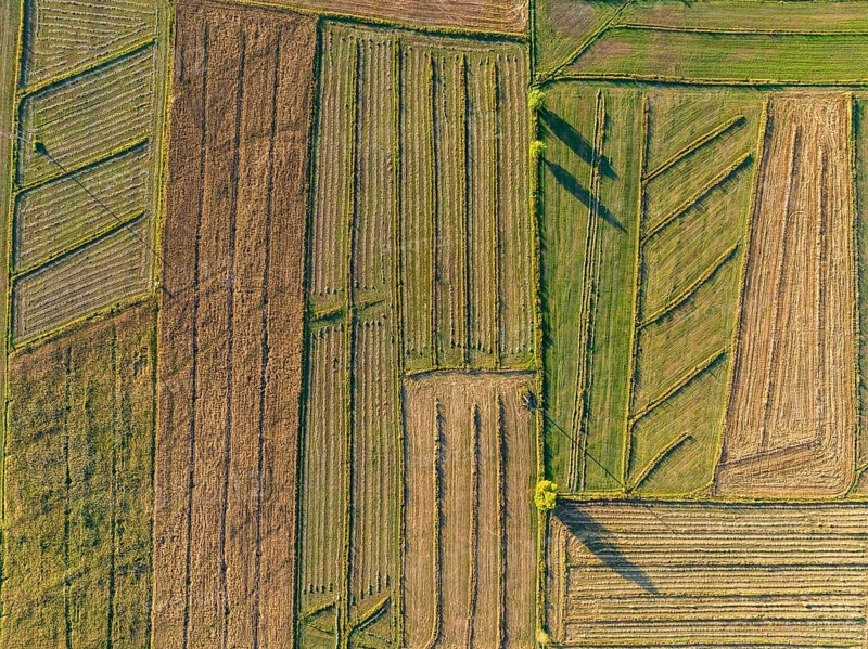 Top-down view, Aerial view, Cultivated fields, Agriculture, Landscape, Kyrgyzstan, Asia
