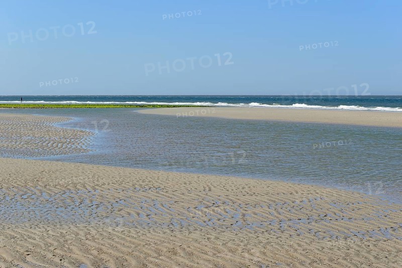 Beach at low tide with wave-like structure, current ripples in wet sand, blue sky, North Sea, Norderney, East Frisian Islands, Lower Saxony, Germany, Europe