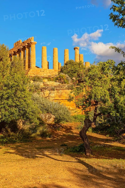 Temple of Juno, Valley of Temples, Agrigento, Sicily, Italy, Europe