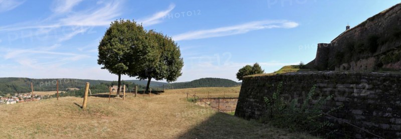Bitche (Bitsch) French commune in the Moselle department in the Grand Est region