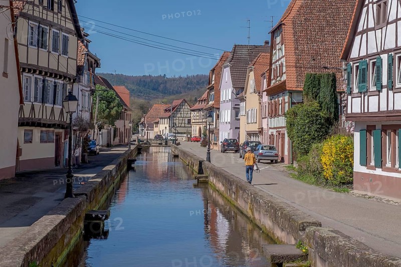 Historic houses on the Faubourg du Bitche, which runs along both sides of the Lauter Canal, Wissembourg, Alsace, France, Europe