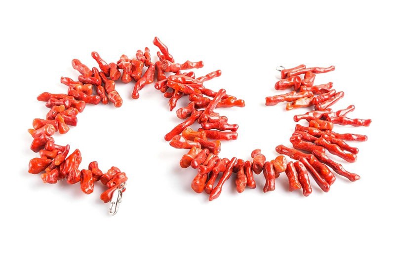 Red coral beads isolated on white background. top view, close up