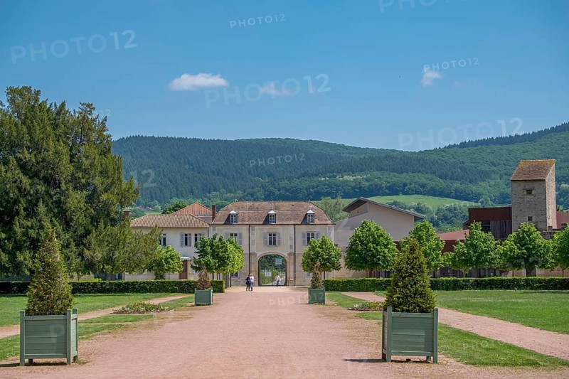 Cluny Abbey, Cluny, Saône-et-Loire, Burgundy, France, Europe