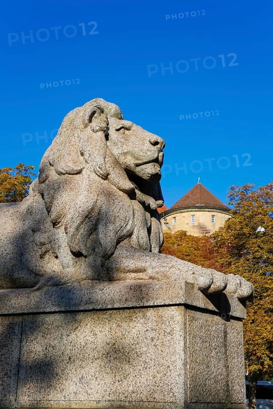 Resting lion made of granite on the terraced base of the equestrian statue of Emperor Wilhelm I on Karlsplatz, historical square, sculpture, large sculpture, equestrian monument by Professor Wilhelm von Rümann and Professor Friedrich Ritter von Thiersch, art in public space, behind Old Palace, Württemberg State Museum, historical building, architecture, state capital, Stuttgart, Baden-Württemberg, Germany, Europe