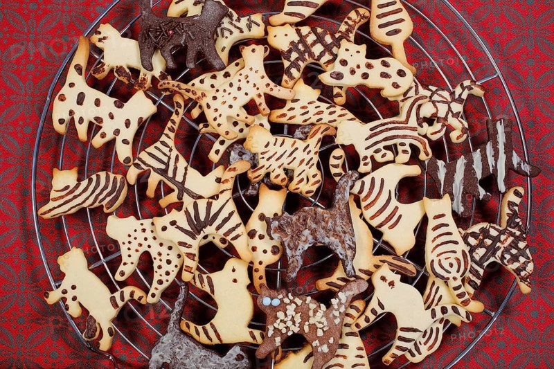 Swabian cuisine, Swabian Christmas biscuits, cookie cutters, shortbread biscuits, cat figures, painted with chocolate, typical Swabian, baking, Christmas bakery, sweet biscuits, Gutsle, Bredle, baked goods, from the oven, cooling rack, cake rack, traditional cuisine, food photography, studio, Germany, Europe