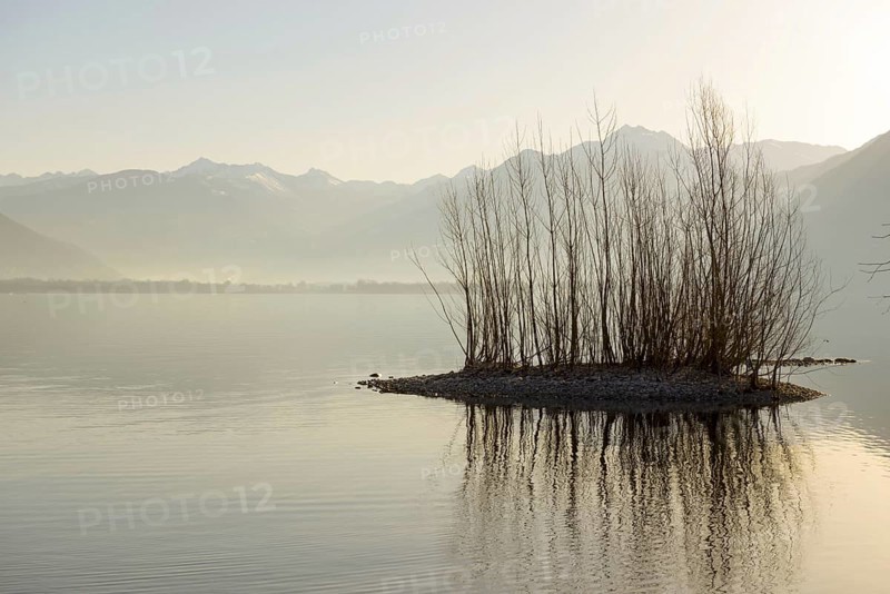 Small Island with Bare Trees on Alpine Lake Maggiore with Mountain and Sunlight in Locarno, Ticino, Switzerland, Europe
