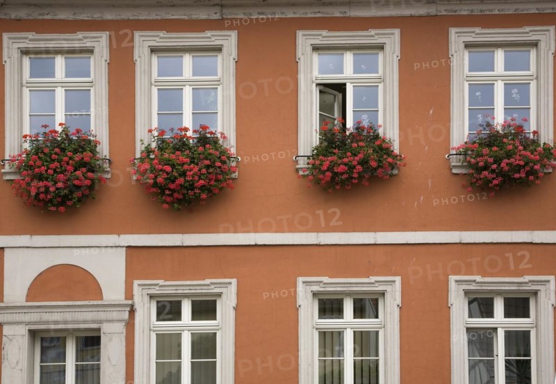 Old orange painted stucco cladded architectural style building facade with greyish white trim windows decorated with red geranium flowers in flower boxes, Schwetzingen, Germany, Europe
