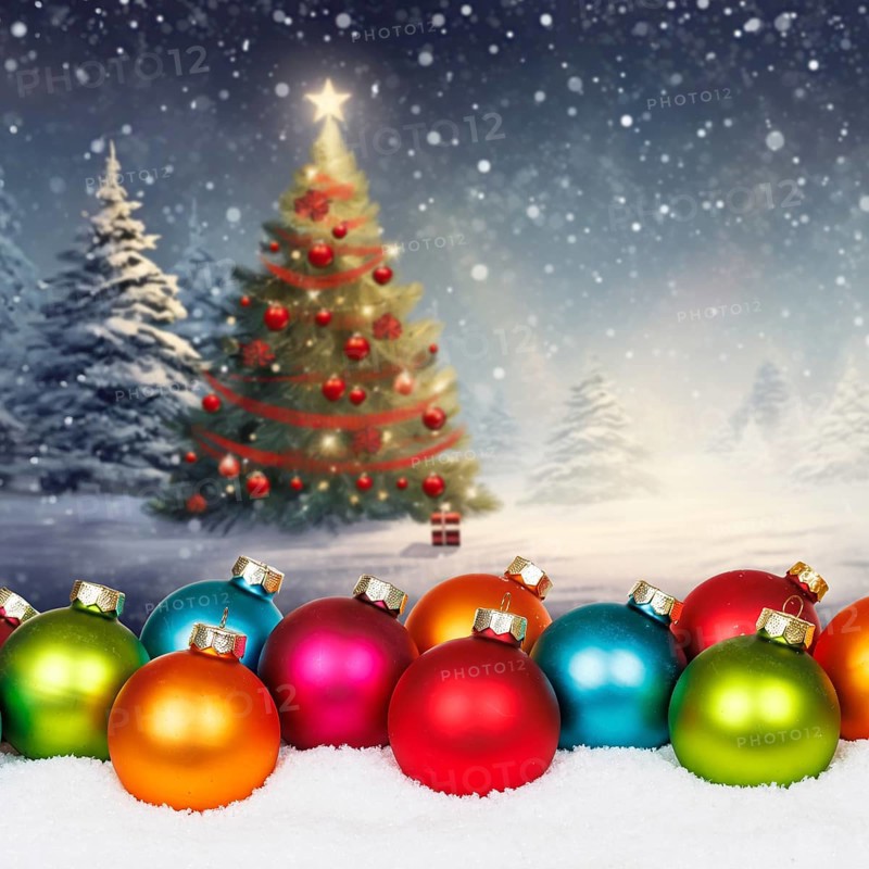 Christmas decoration with Christmas tree Christmas card square and text free space Copyspace Winter in Stuttgart, Germany, Europe