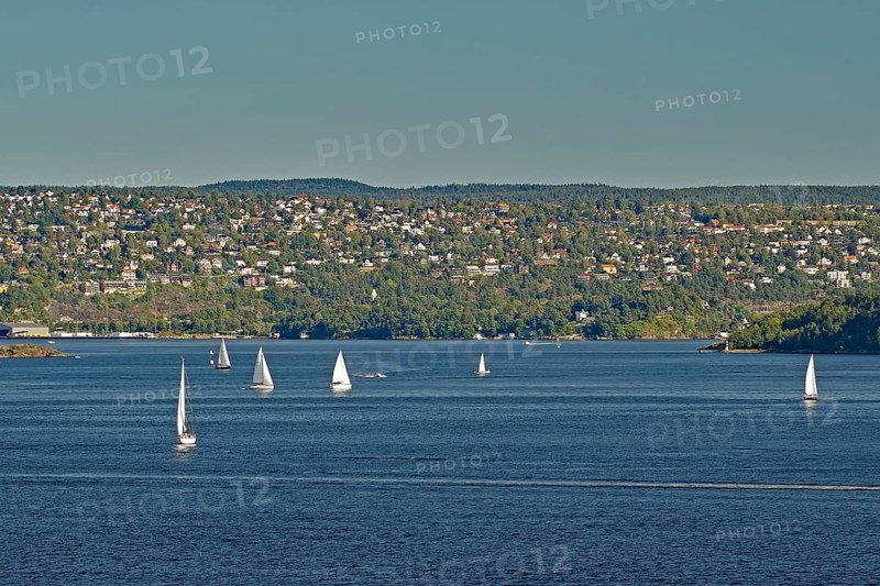 A few sailboats float calmly on the water, in front of a hilly cityscape under a clear sky, Oslofjord, capital city, Oslo, Norway, Europe