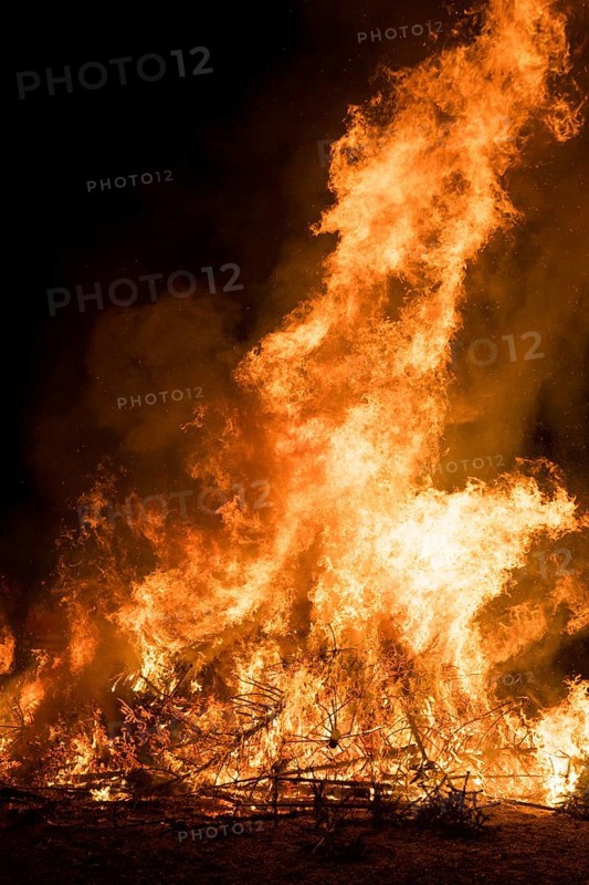 Environmental pollution, fire from discarded Christmas trees, Ostfildern-Plieningen, Baden-Württemberg, Germany, Europe