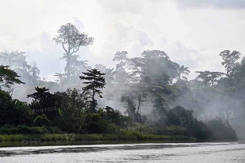 Fog over the rainforest along the Sangha River, Dzanga-Sangha Complex of Protected Areas (DSPAC), Sangha-Mbaéré Prefecture, Central African Republic, Africa