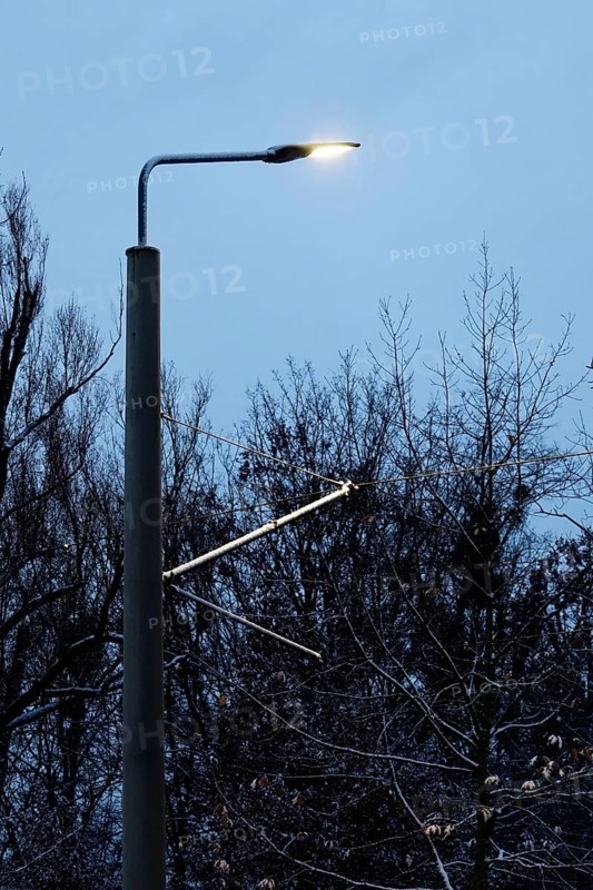 Street lighting, late autumn, Germany, Europe
