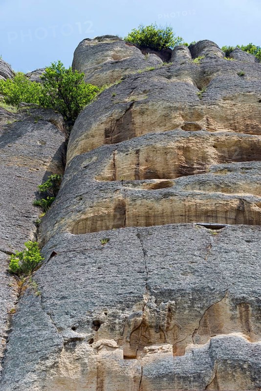 Rock face with lush vegetation under a blue sky at a sunny time of day, rock relief, Horsemen of Madara, Madara, Shumen, Shumla, Unesco World Heritage Site, Bulgaria, Europe