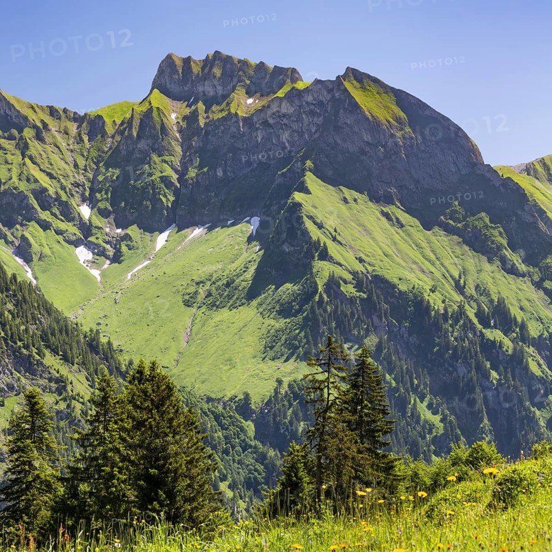 Schneck, 2268m, Himmelhorn, 2111m, with the Rädlergrat, Daumengruppe and Großer Wilder, 2379m, Hochvogelgruppe and Rosszahngruppe, Allgäu Alps, Allgäu, Bavaria, Germany, Europe