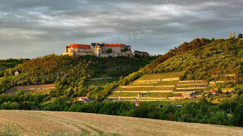 View of Neuenburg Castle and the ducal vineyard, thunderstorm atmosphere, evening light, Freyburg (Unstrut), Saxony-Anhalt, Germany, Europe