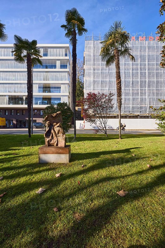Chusan Palm (Trachycarpus fortunei), garden, lawn, trees, modern architecture, blue cloudless sky, street Riva Antonio Caccia, Lugano, district Lugano, canton Ticino, Switzerland, Europe